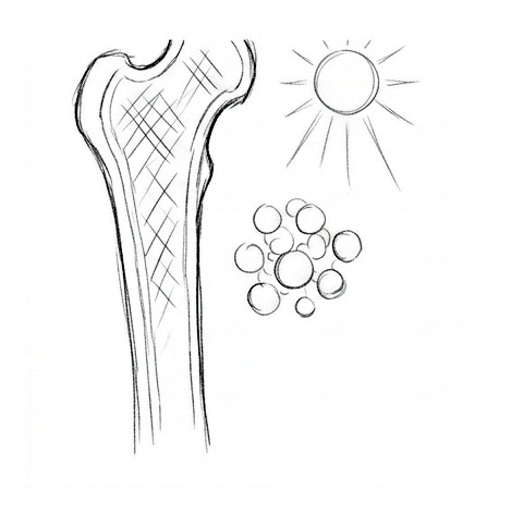 Vitamin D, Calcium, and Bone Health — educational illustration