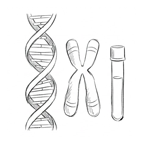 DNA and Genetic Testing — educational illustration