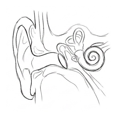 Hearing Loss — educational illustration