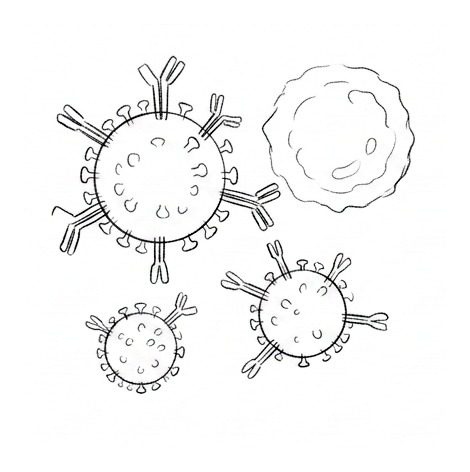 Vaccines and Immune Protection — educational illustration