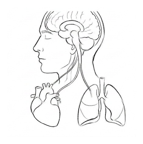 Anxiety and Anxiety Disorders — educational illustration
