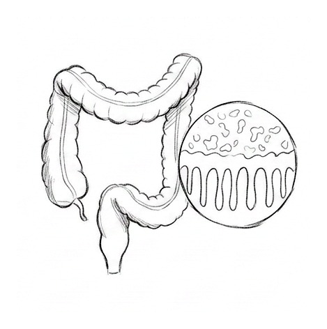 Digestive Bacteria and Probiotics — educational illustration