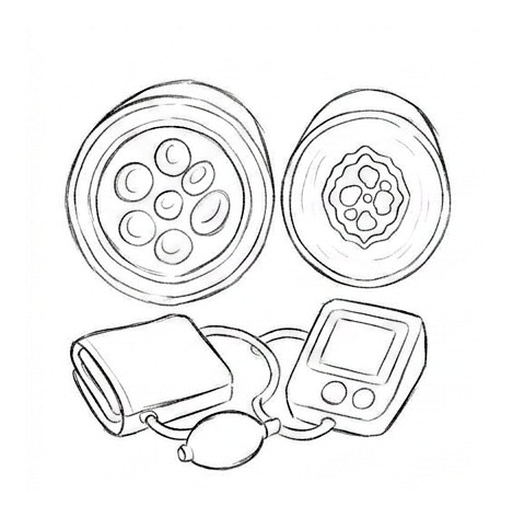 Blood Pressure Physiology — educational illustration